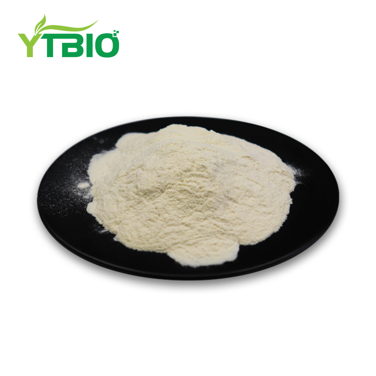 Organic Rice Protein Bulk